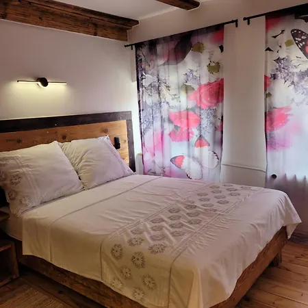 No5 Apartament Torun Exterior photo