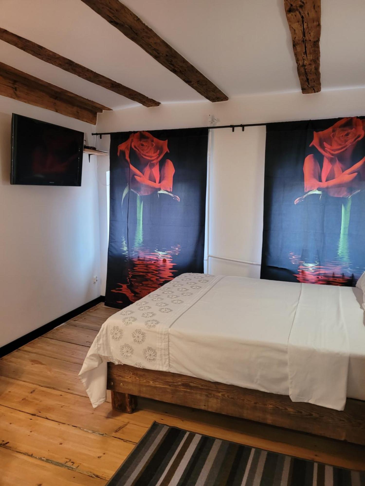 No5 Apartment Torun